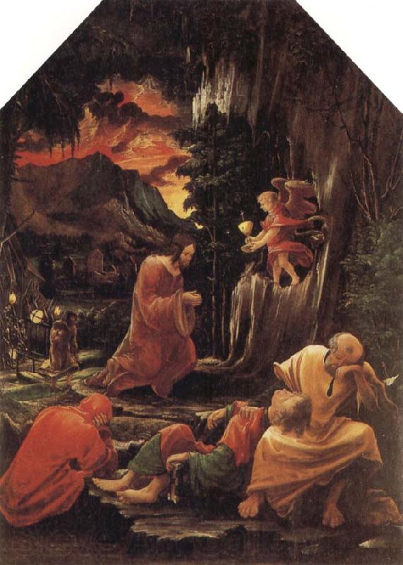 Albrecht Altdorfer The Agony in the Garden Norge oil painting art
